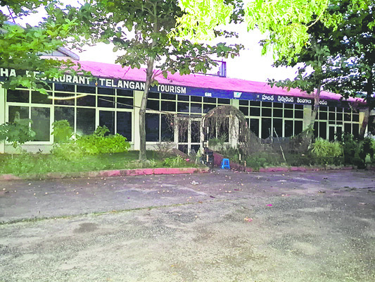 నాడు పురివిప్పి.. నేడు కళతప్పి1