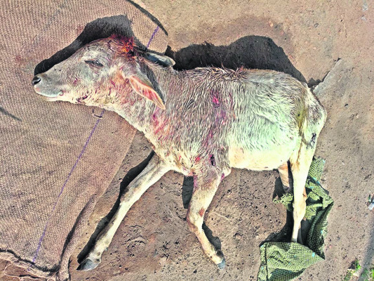 అనర్హులకు ఉపాధి  హామీలో హాజరు 
1