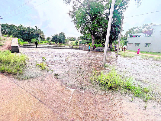 ఎత్తు తగ్గించి..ముంచి!
1