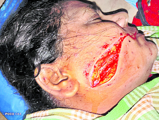 సత్యదేవా.. చూడవయ్యా.. 3