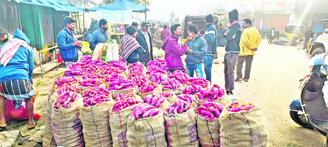 ● మంచు సంతకం3