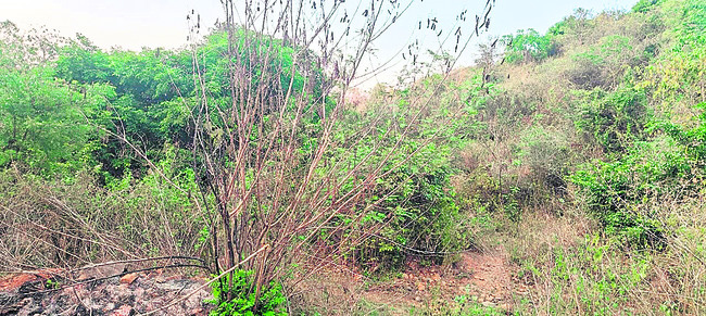 న్యూస్‌రీల్‌2