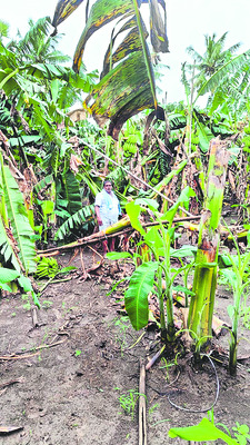 మోంథా మోత మితమే!2