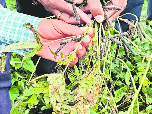 మోంథా మోత మితమే!3