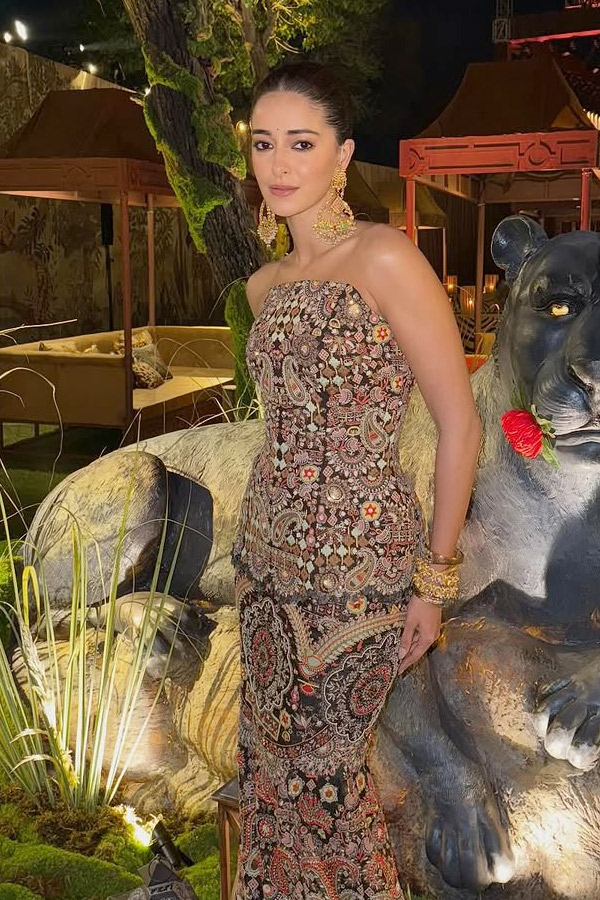 Bollywood Beauty Ananya Panday Attended Her Friend Wedding Photos14