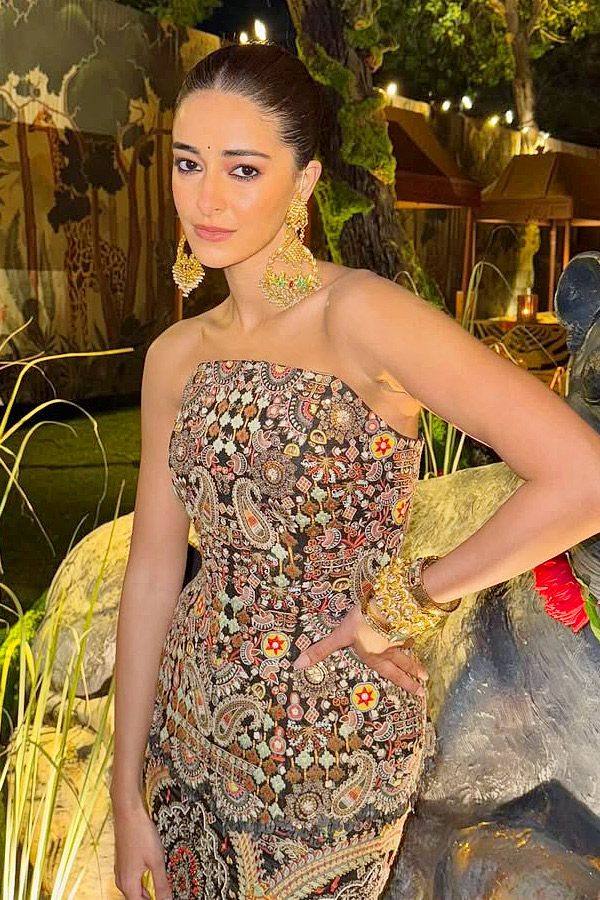 Bollywood Beauty Ananya Panday Attended Her Friend Wedding Photos3