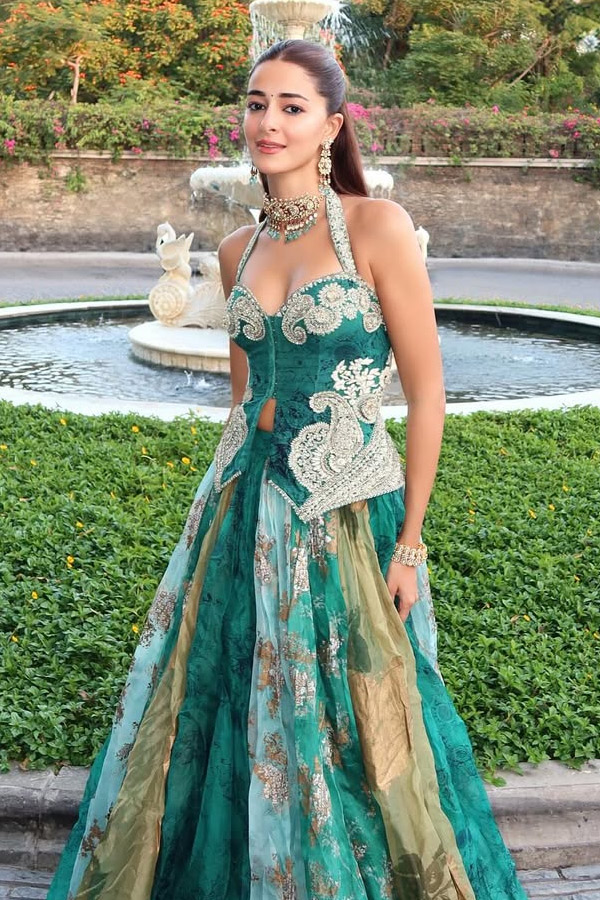 Bollywood Beauty Ananya Panday Attended Her Friend Wedding Photos8