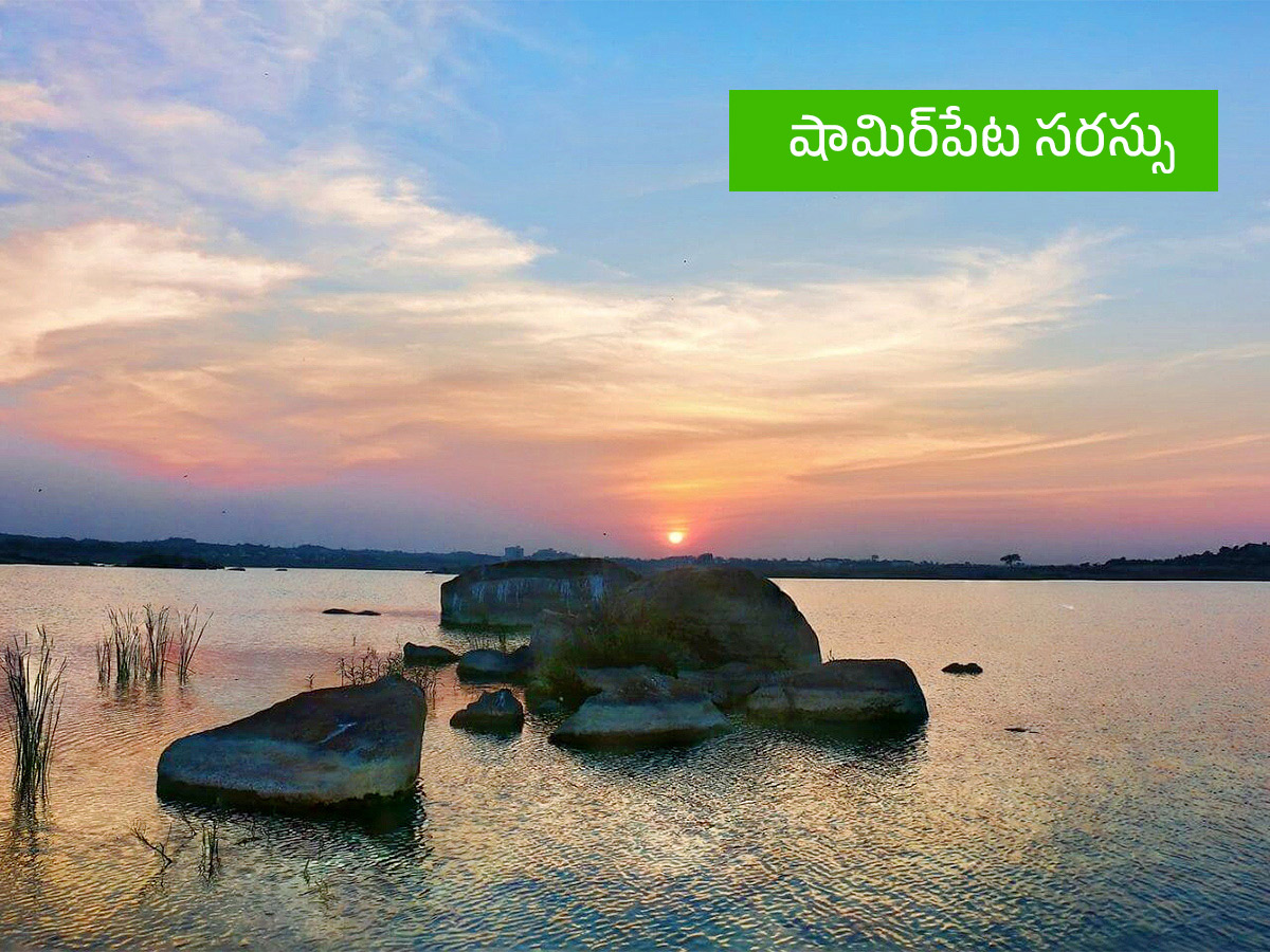 Vanabhojanalu : Best Picnic Spots In Near Hyderabad11