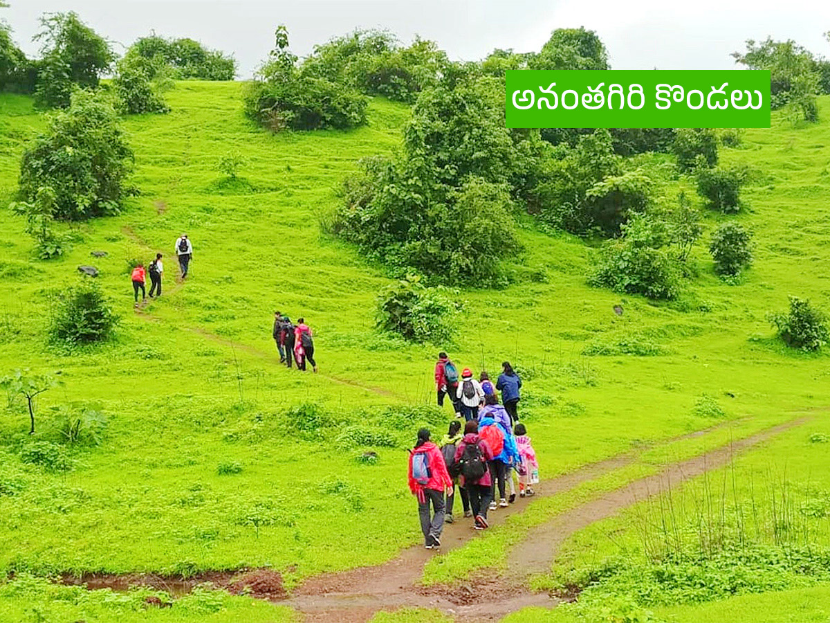 Vanabhojanalu : Best Picnic Spots In Near Hyderabad13