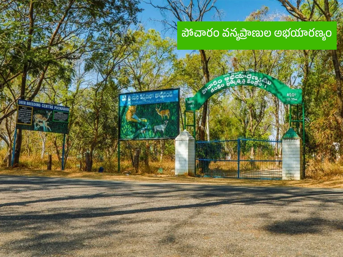 Vanabhojanalu : Best Picnic Spots In Near Hyderabad17