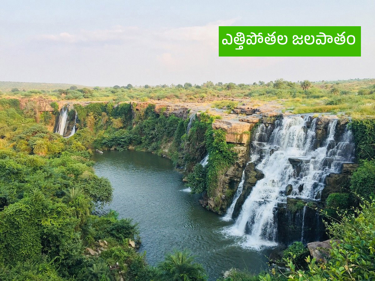 Vanabhojanalu : Best Picnic Spots In Near Hyderabad20