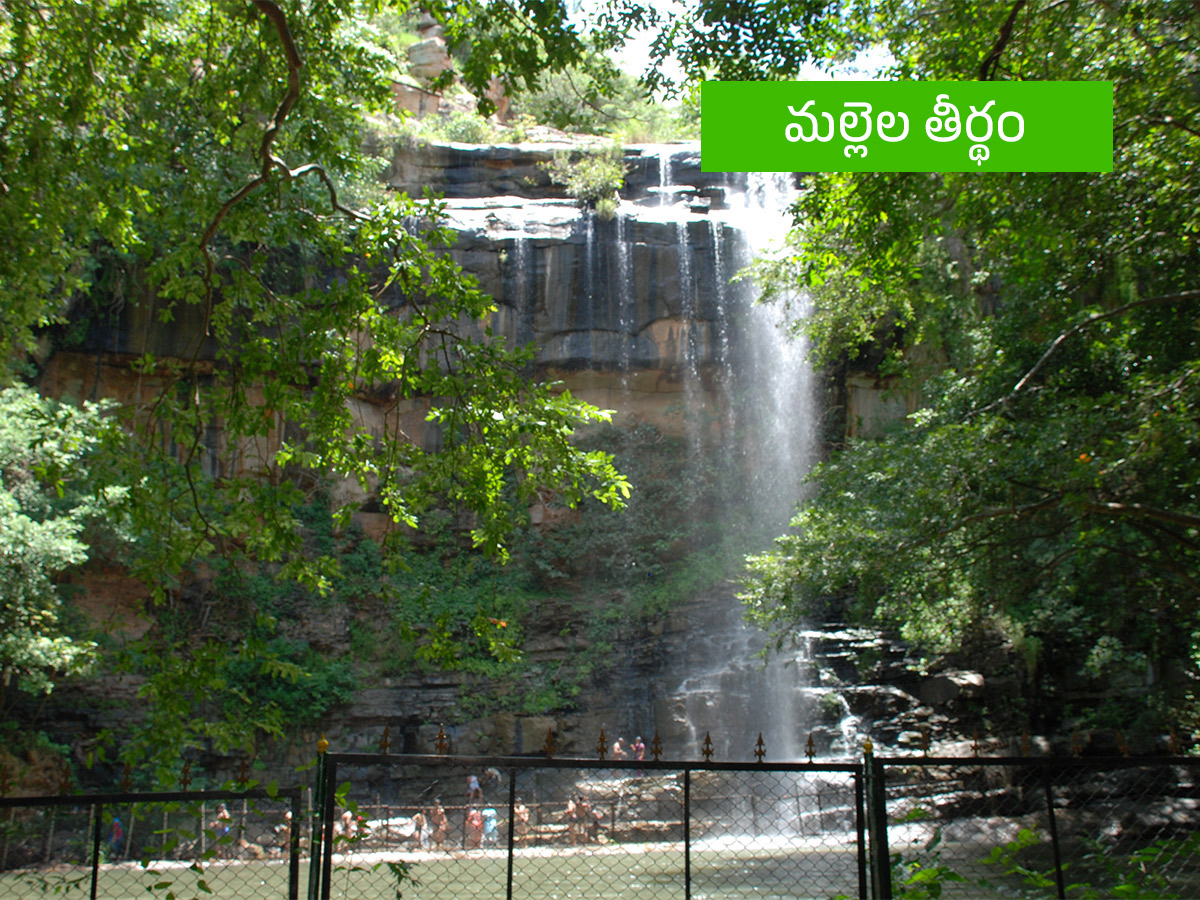 Vanabhojanalu : Best Picnic Spots In Near Hyderabad21