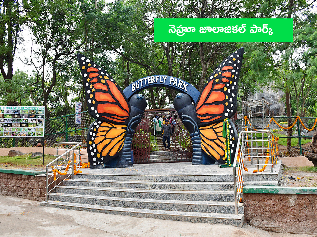 Vanabhojanalu : Best Picnic Spots In Near Hyderabad4