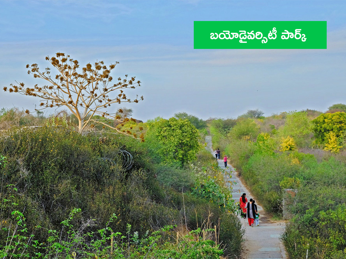 Vanabhojanalu : Best Picnic Spots In Near Hyderabad7