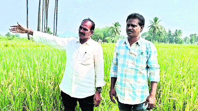 నిబంధనలకు విరుద్ధంగా ఏపీఐఐసీకి భూమి అప్పగింత! 1