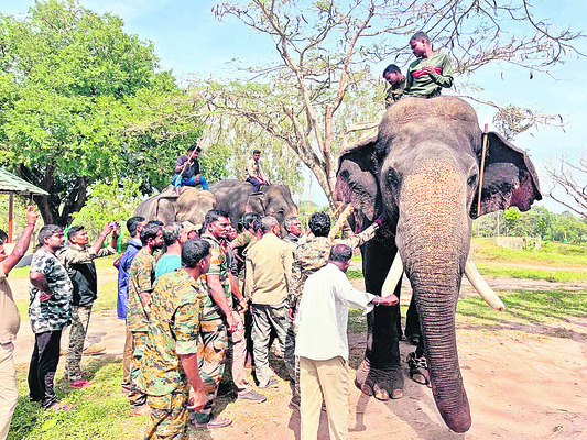 కుంకీల లక్ష్యం ఇదీ! 2