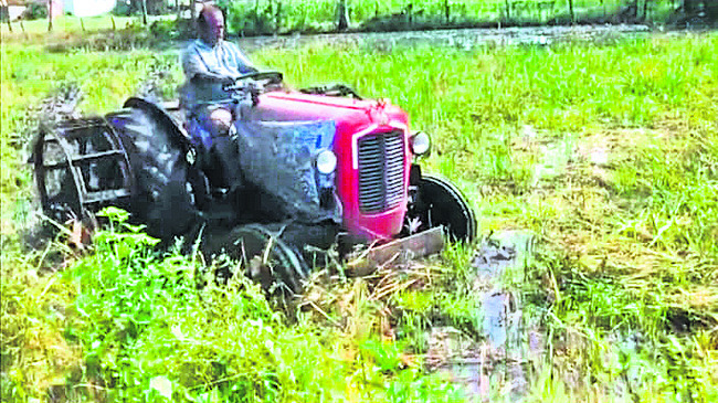 కుంకీల లక్ష్యం ఇదీ! 5