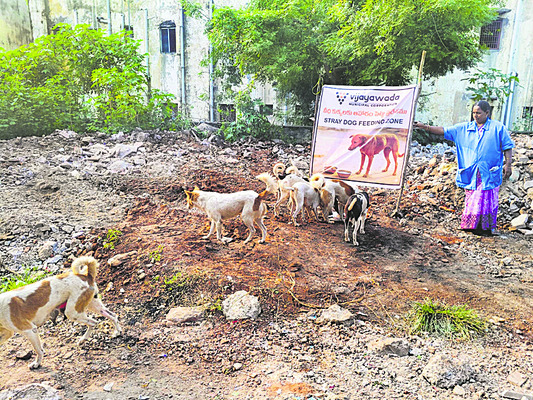 దుర్గగుడి అభివృద్ధికి రూ.10 లక్షల విరాళం 3