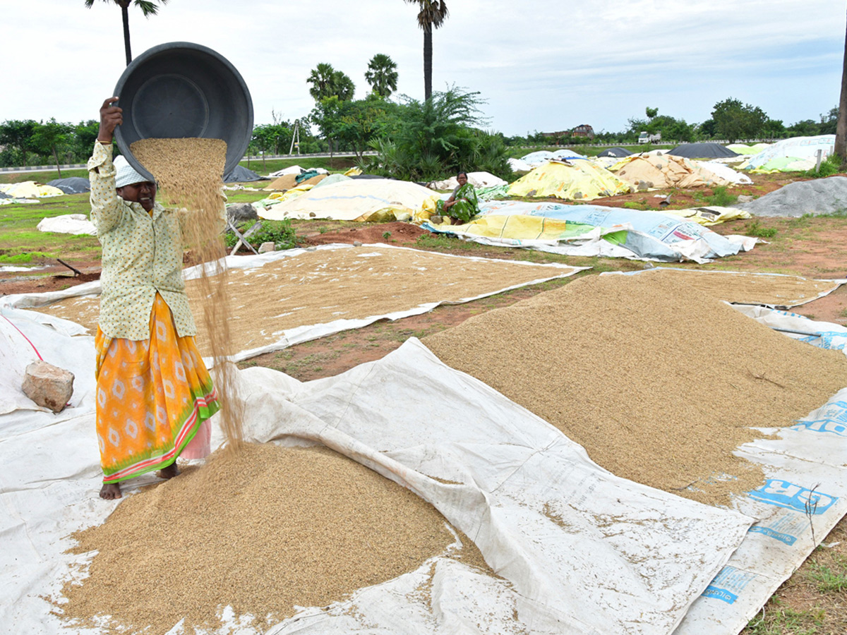 Best Photos of The Week in AP and Telangana Photo Gallery24