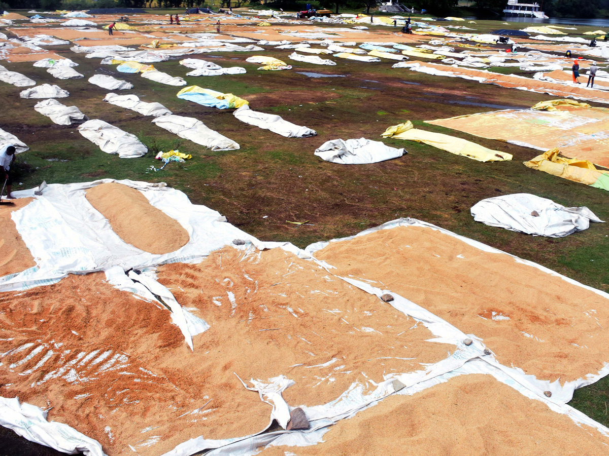 Best Photos of The Week in AP and Telangana Photo Gallery26