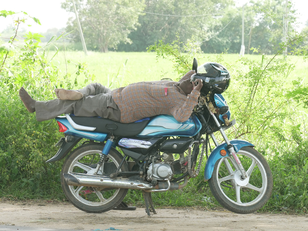 Best Photos of The Week in AP and Telangana Photo Gallery31