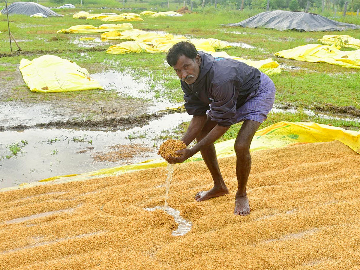 Best Photos of The Week in AP and Telangana Photo Gallery37