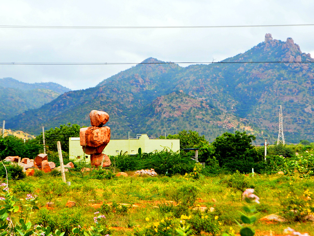 Best Photos of The Week in AP and Telangana Photo Gallery5