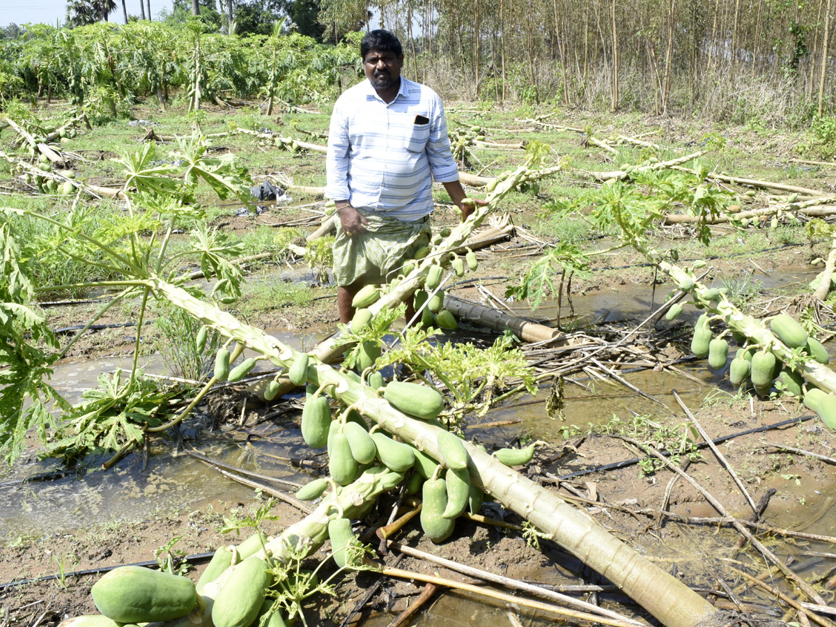 Best Photos of The Week in AP and Telangana Photo Gallery40