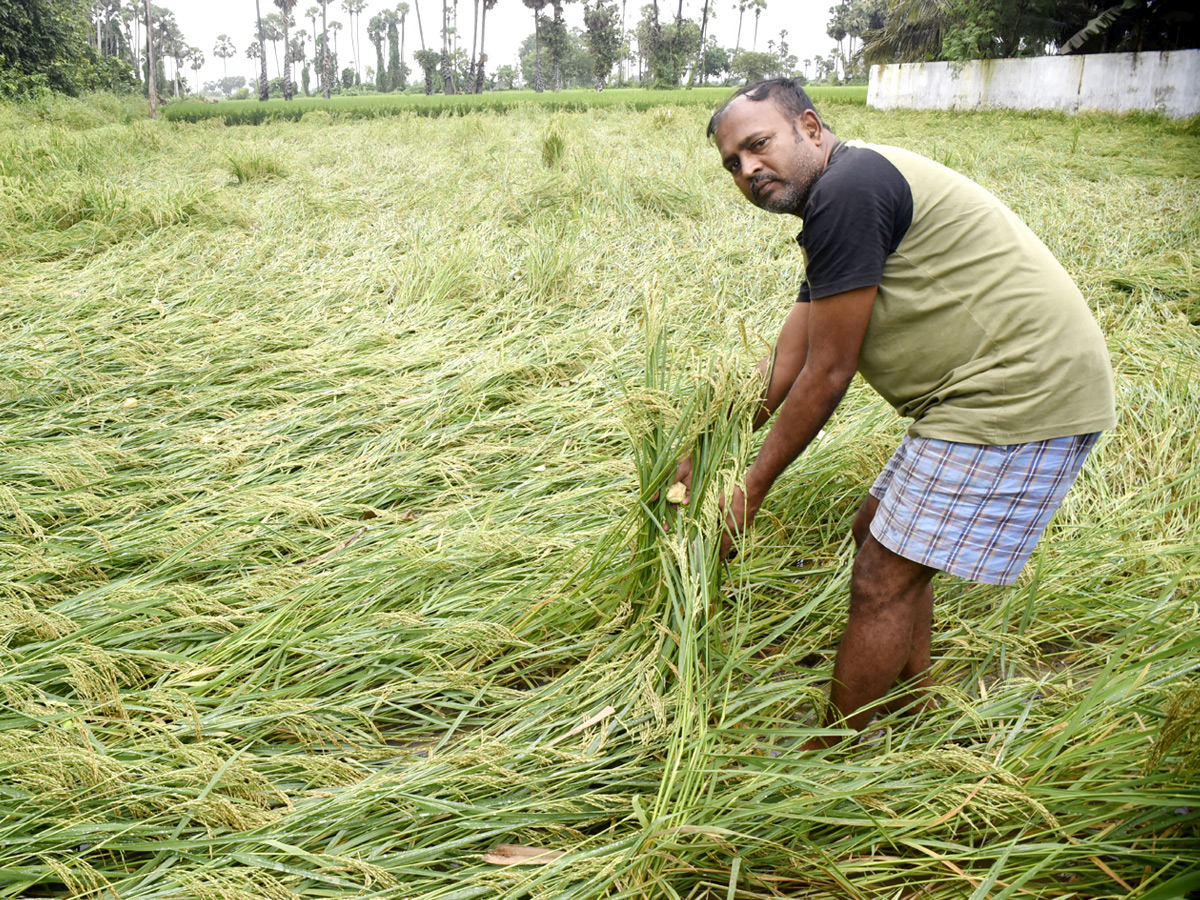 Best Photos of The Week in AP and Telangana Photo Gallery50