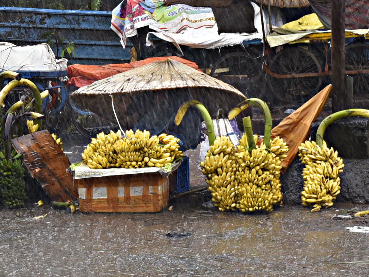 Best Photos of The Week in AP and Telangana Photo Gallery51