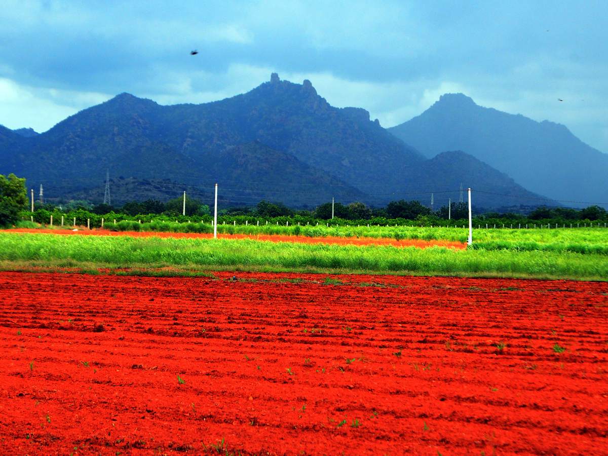 Best Photos of The Week in AP and Telangana Photo Gallery7