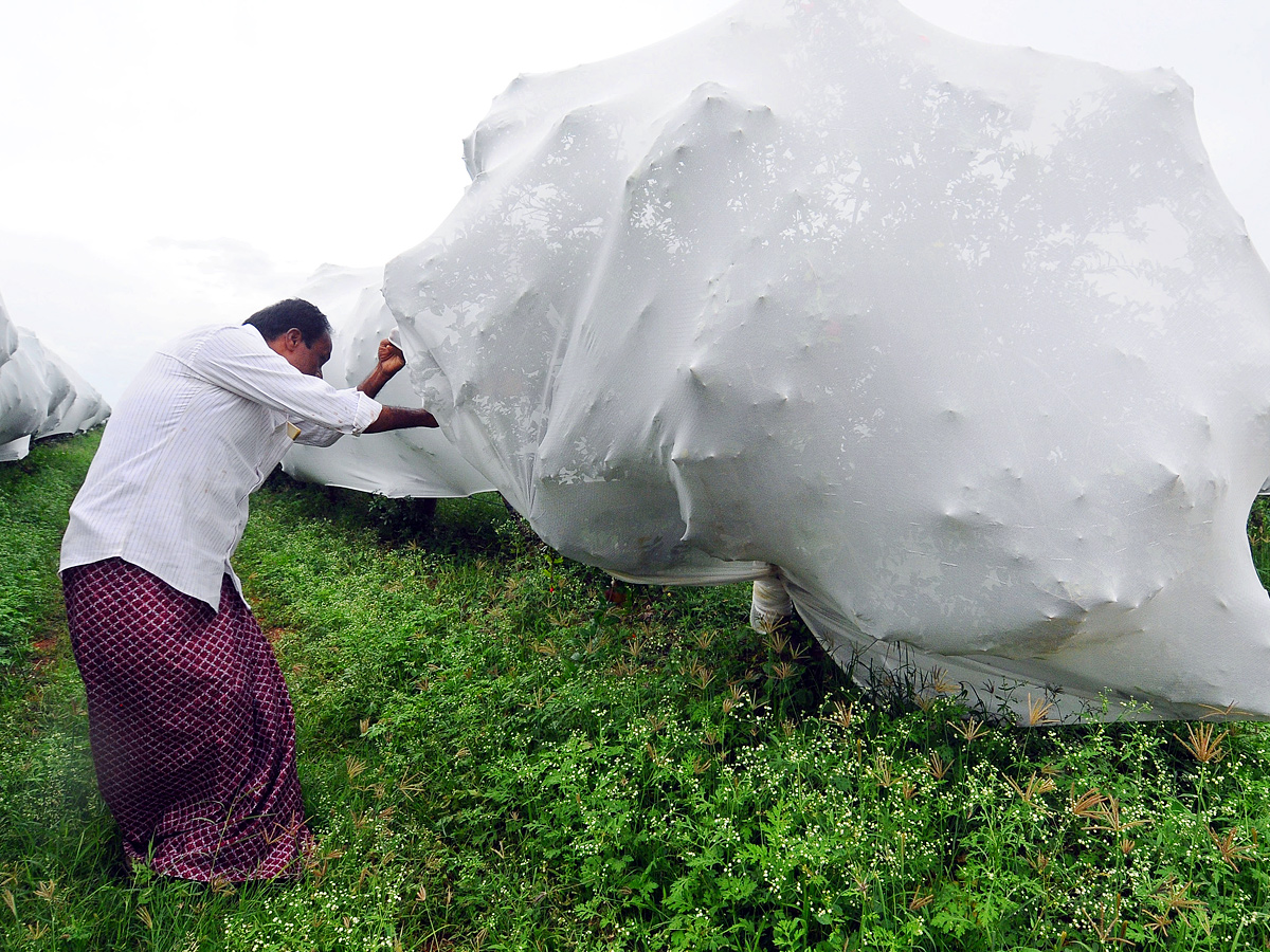 Best Photos of The Week in AP and Telangana Photo Gallery9