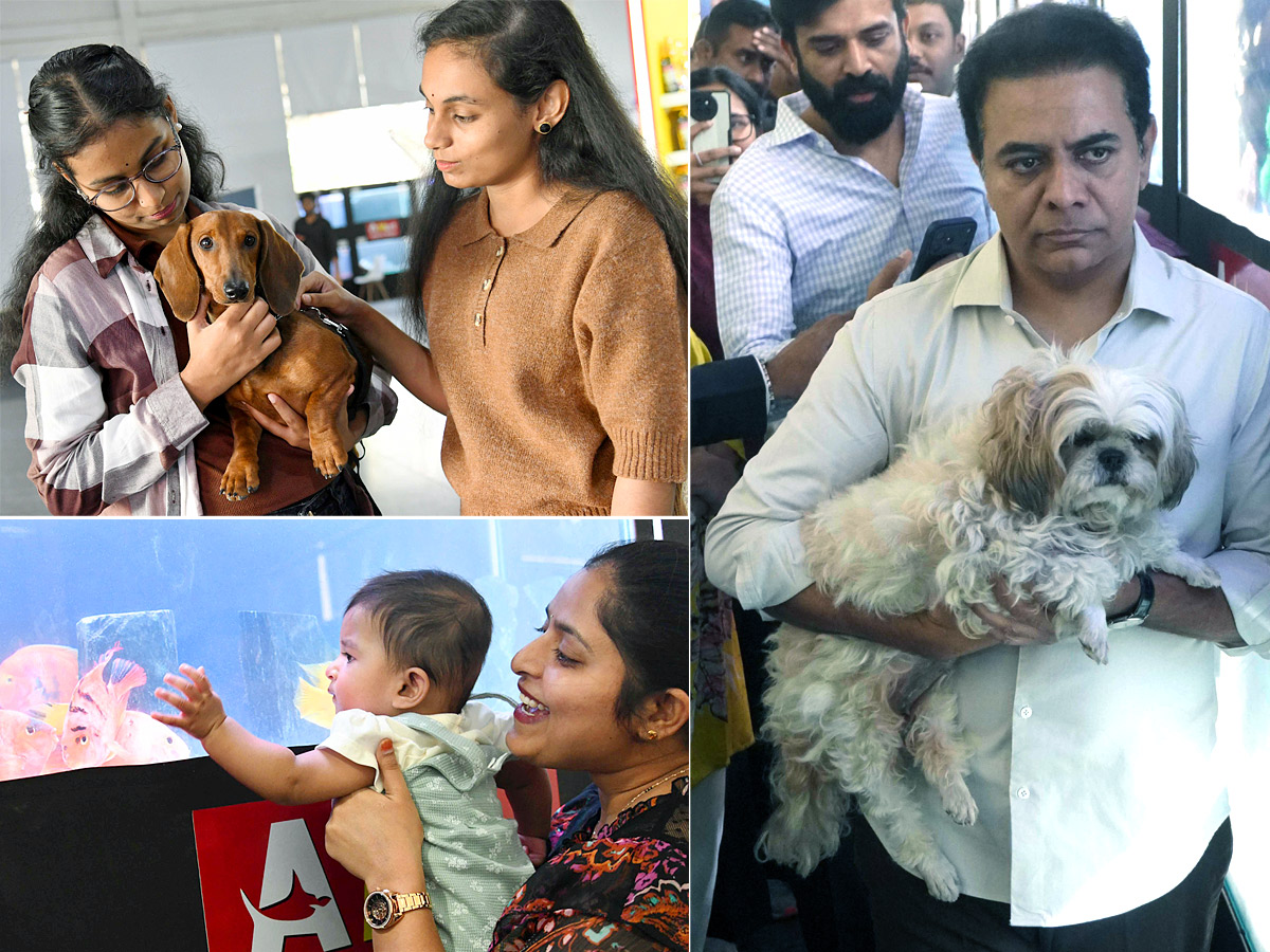 Dog Show in Hyderabad Photos1