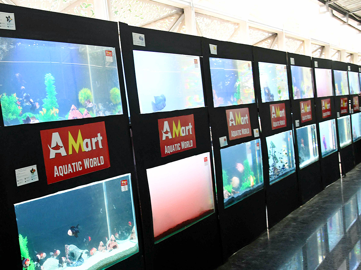 Dog Show in Hyderabad Photos13