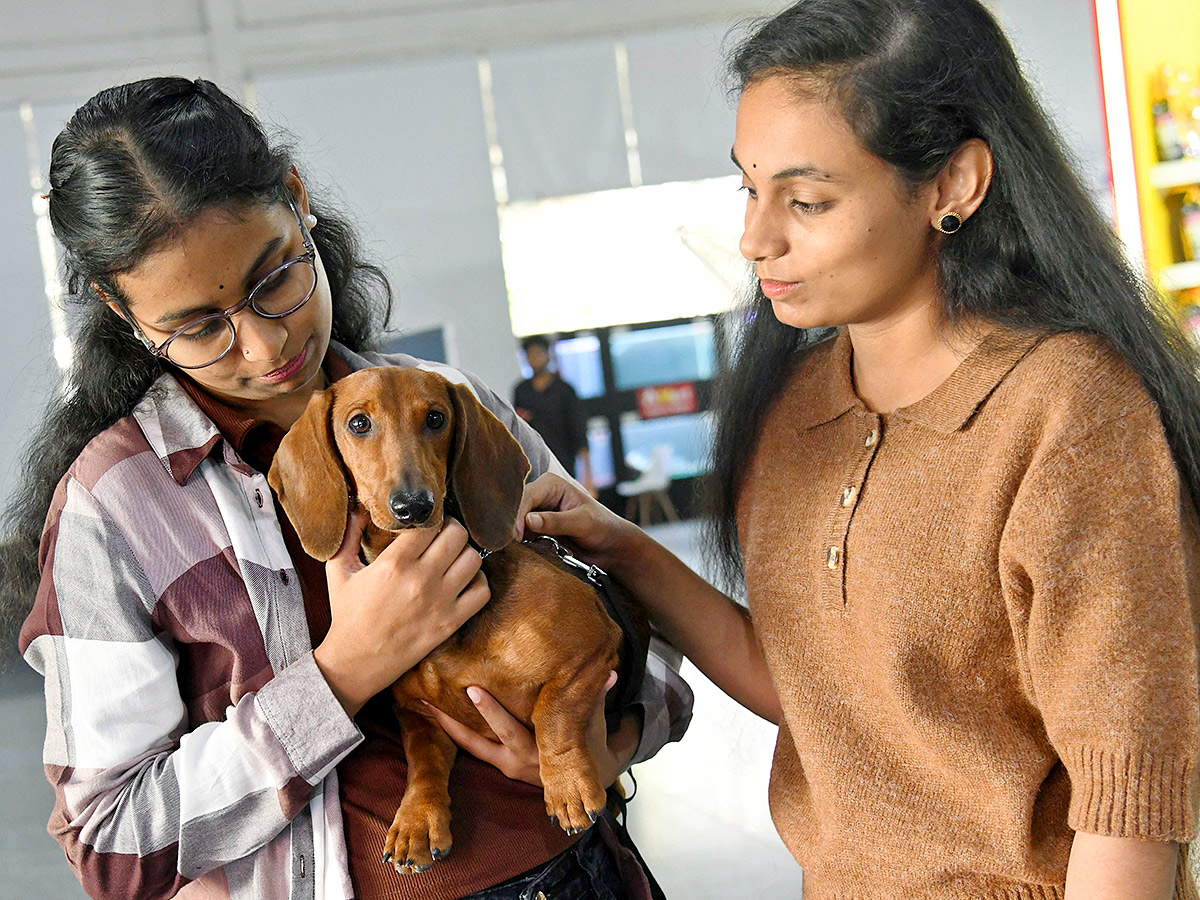 Dog Show in Hyderabad Photos14