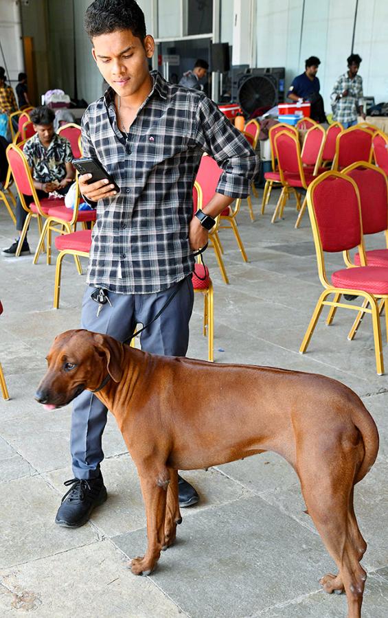 Dog Show in Hyderabad Photos15