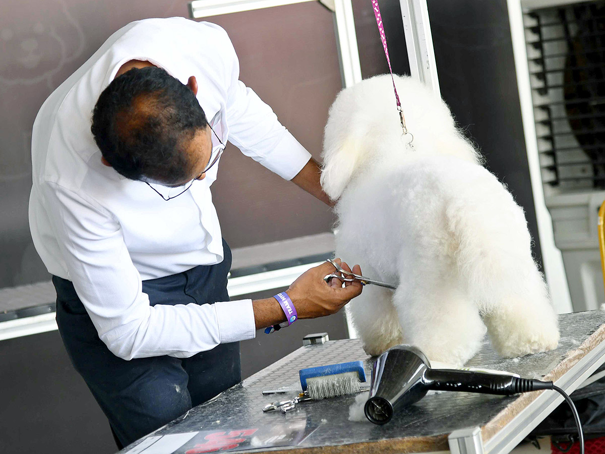 Dog Show in Hyderabad Photos16