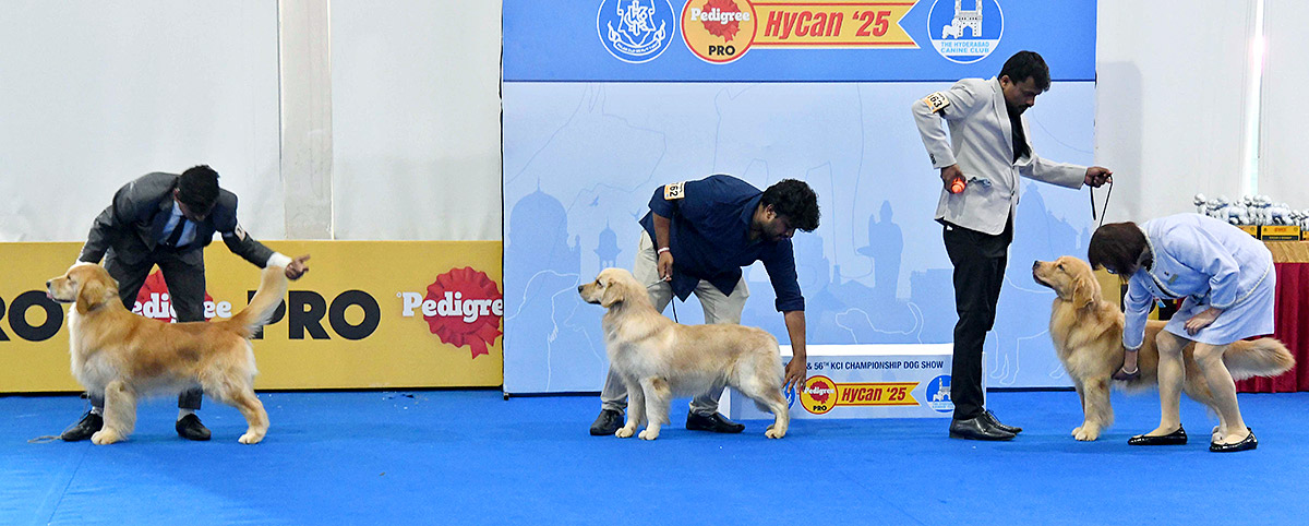 Dog Show in Hyderabad Photos21