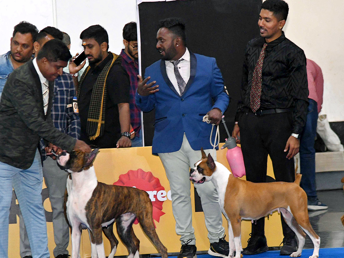 Dog Show in Hyderabad Photos24