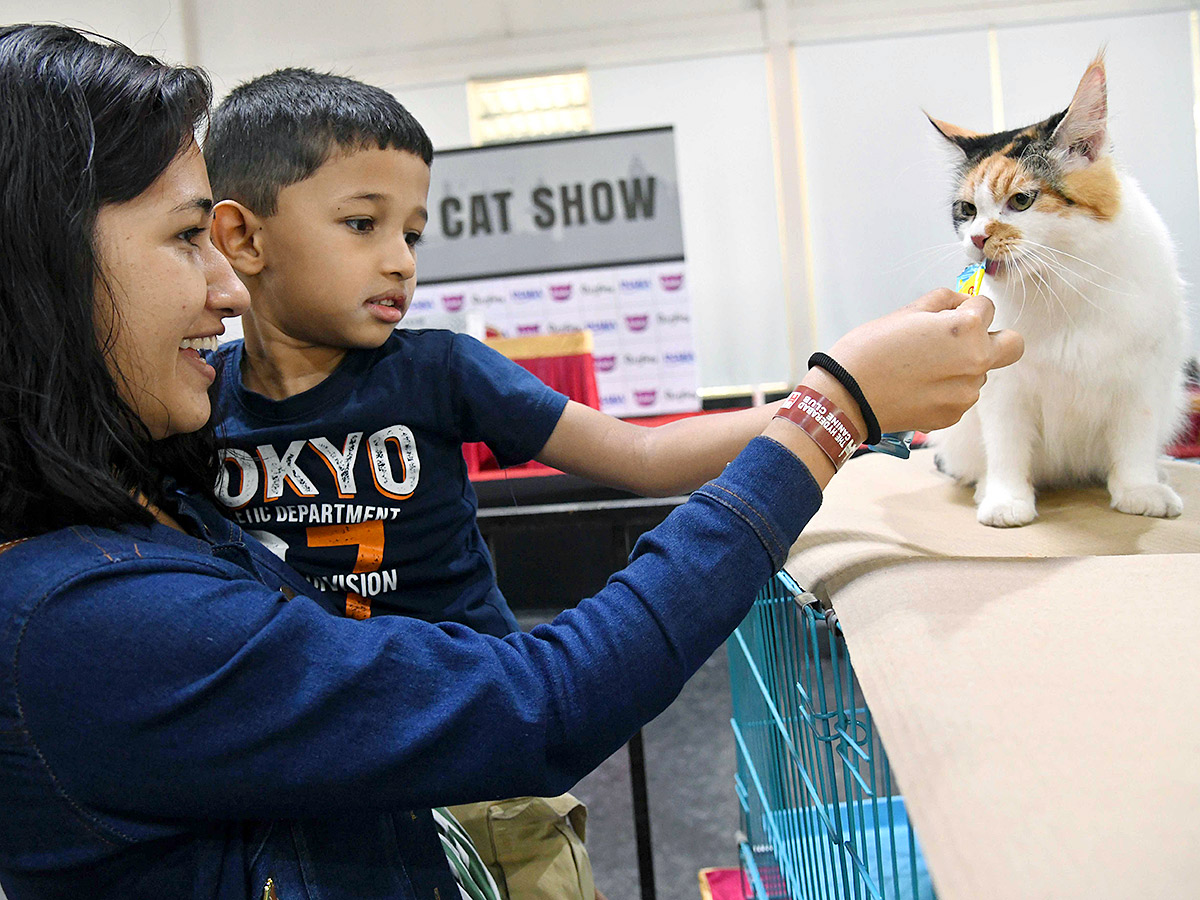 Dog Show in Hyderabad Photos25