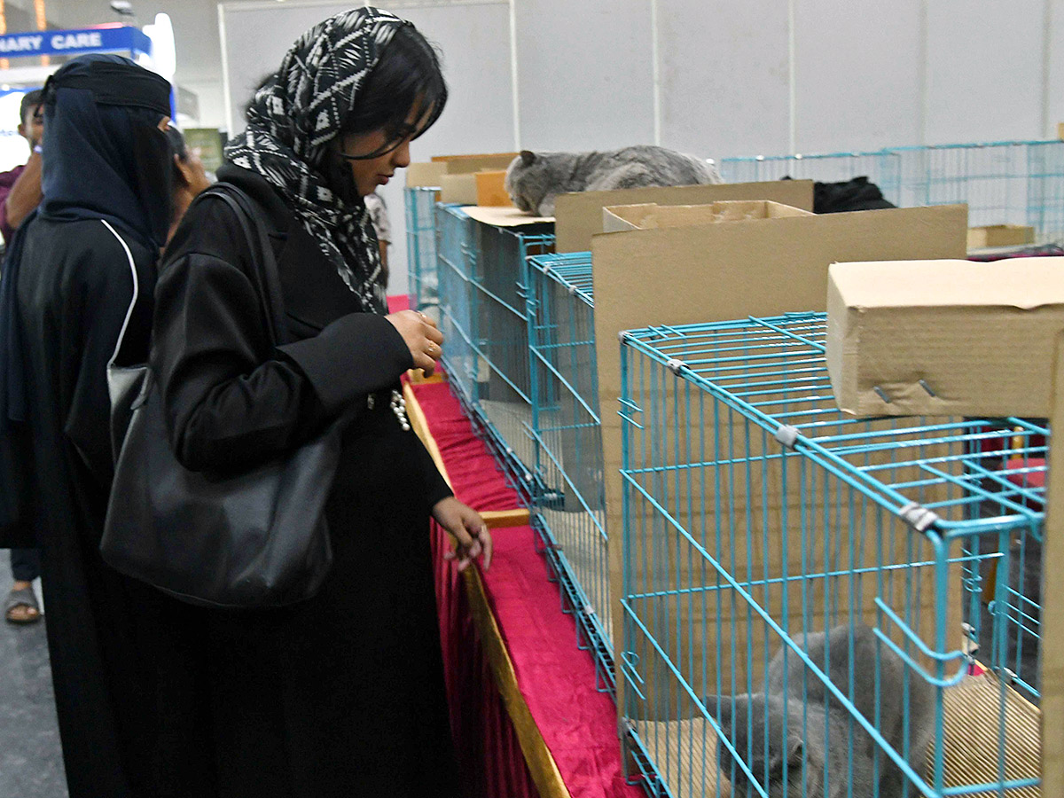 Dog Show in Hyderabad Photos26