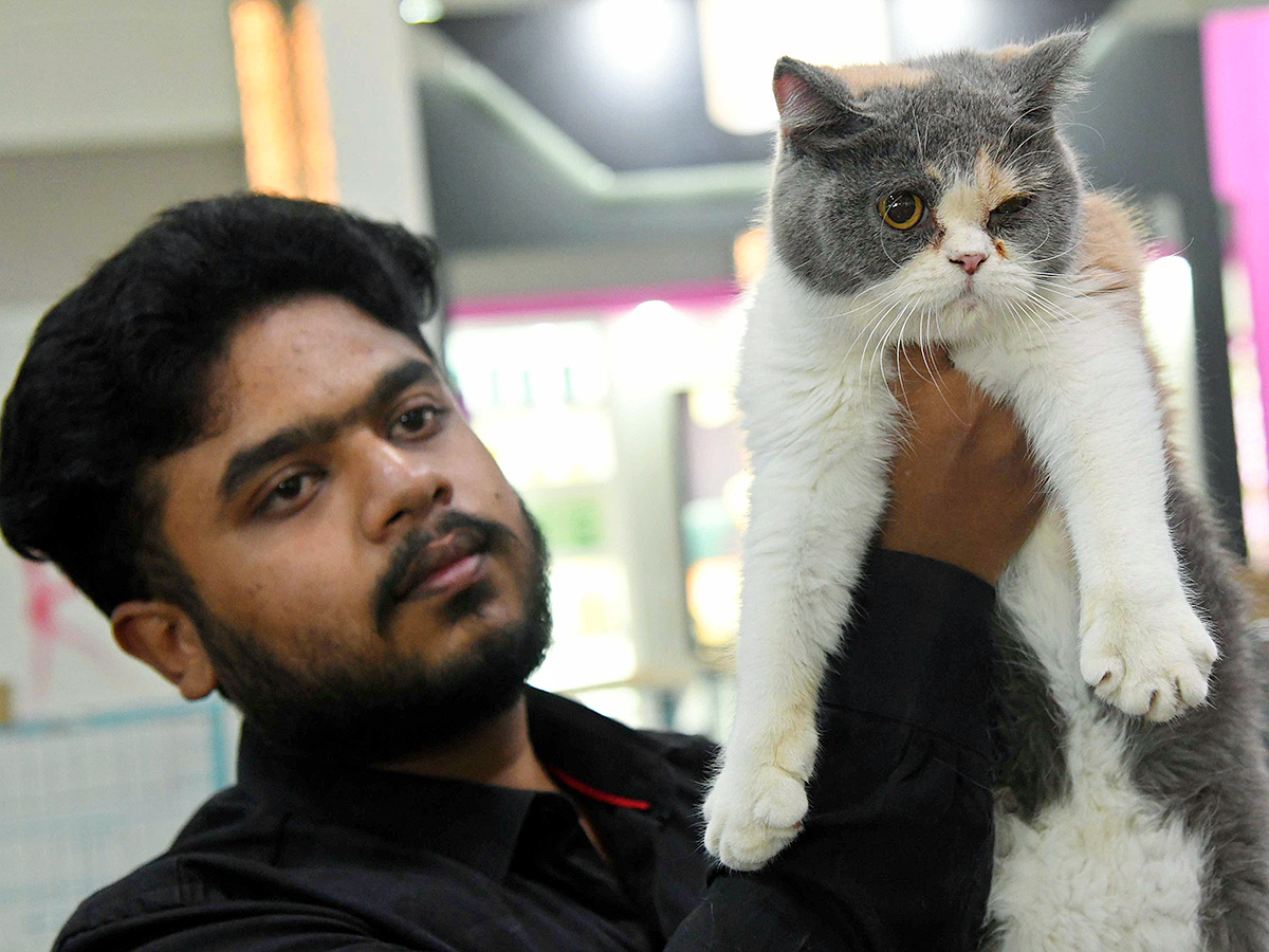 Dog Show in Hyderabad Photos28