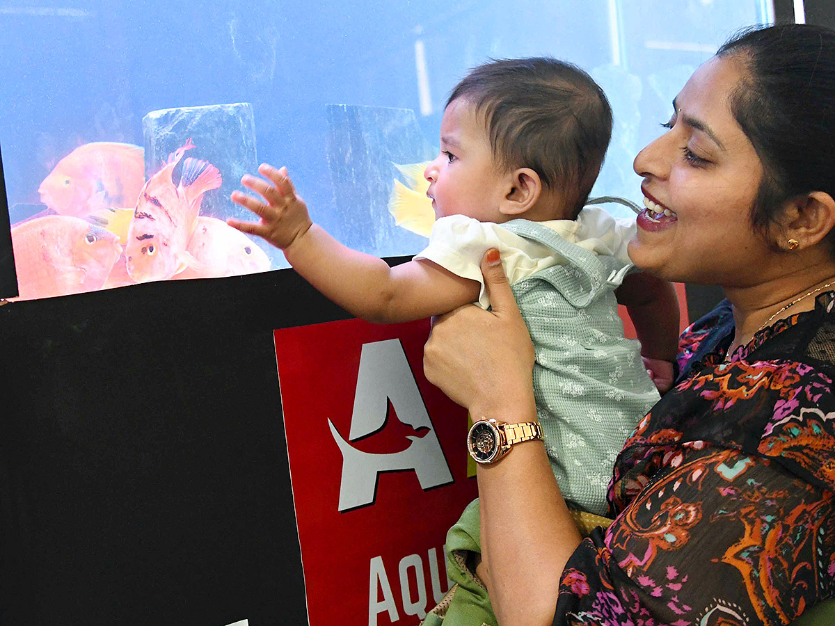 Dog Show in Hyderabad Photos30