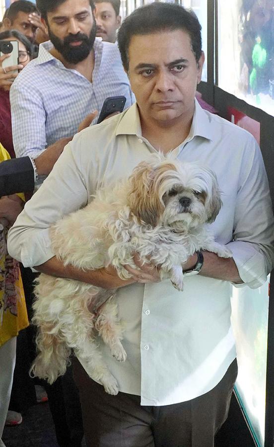 Dog Show in Hyderabad Photos8