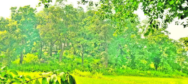 పొల్లూరు పరవళ్లు3