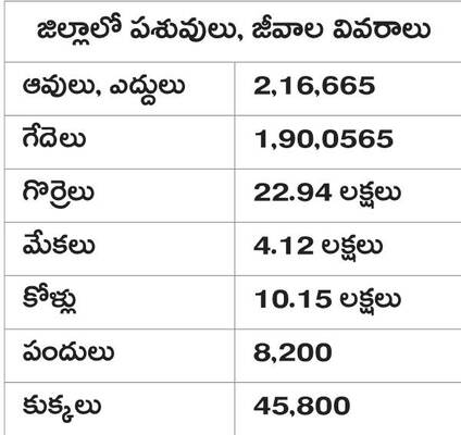పశువైద్యానికి కష్టకాలం 2
