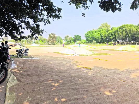 పాఠశాలలే.. కొనుగోలు కేంద్రాలు1