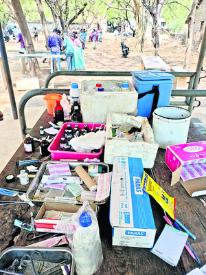 పశువైద్యానికి కష్టకాలం 1