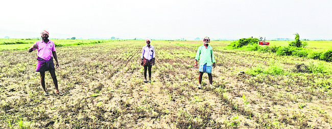 సాయం మరచి.. అన్నదాతను ముంచి 1
