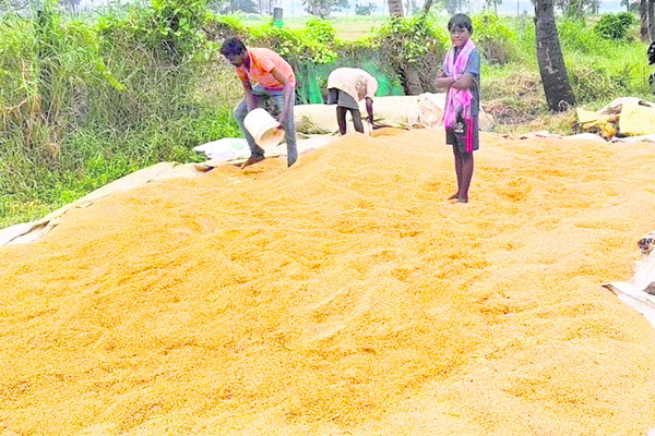 దిత్వాగుబులు 1